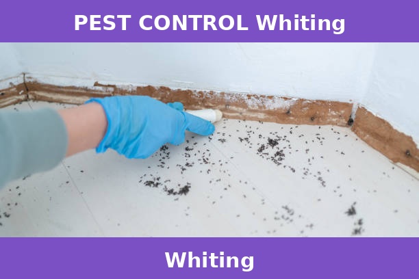 PEST CONTROL Whiting